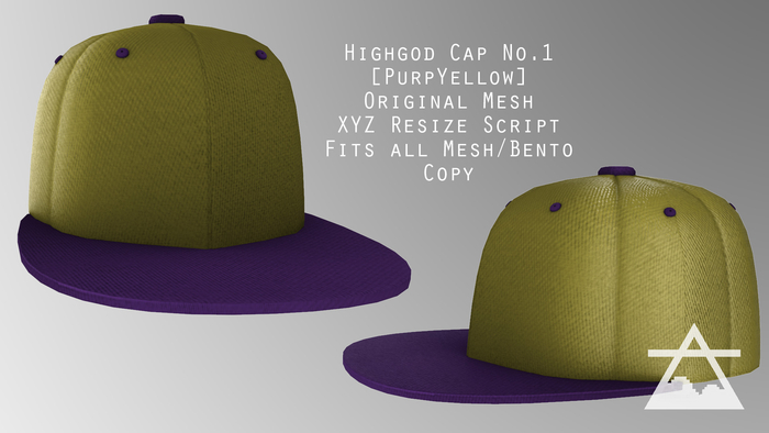 HG_Cap_No.1[PurpYellow] box