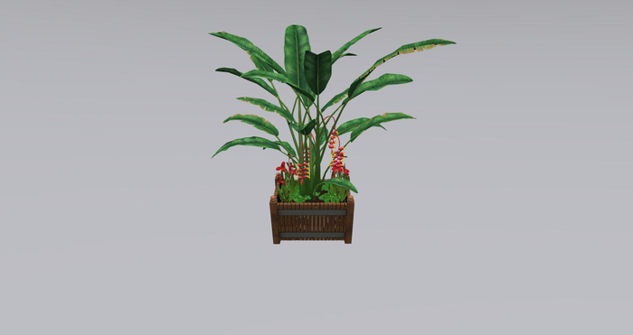 Planter with heliconia and Mexican shell flower.