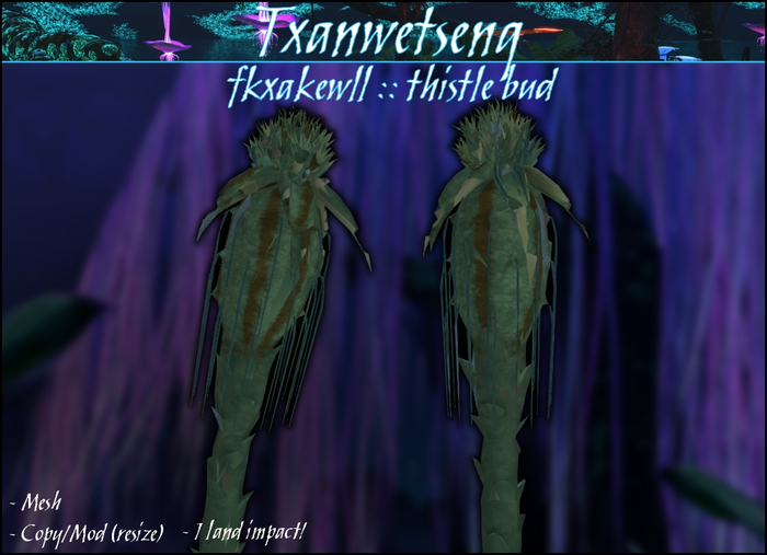 Txanwetseng :: Thistle Bud