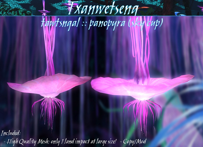 Txanwetseng :: Panopyra