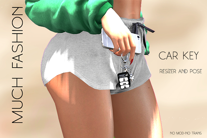 MUCH FASHION-CAR KEY DEMO