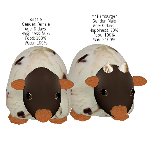 DFS SLB17 Cow (Chocolate Chip) &DFS SLB17 Bull (Chocolate  Chip