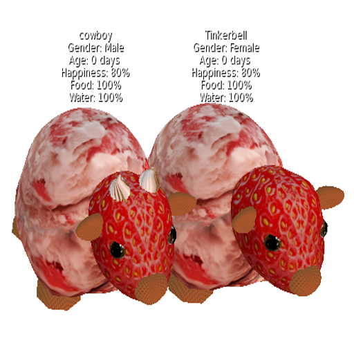 DFS SLB17 Cow (Strawberry) & DFS SLB17 Bull (Strawberry)