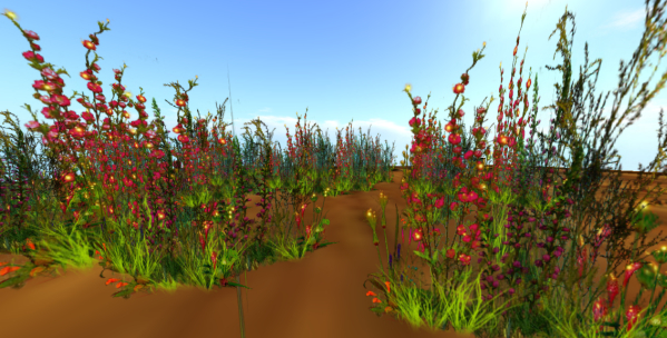 Northeast Wildflower Seed Mix