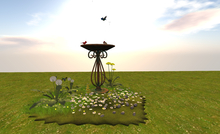 *DE* CALM WITH THE BIRDS  BOX