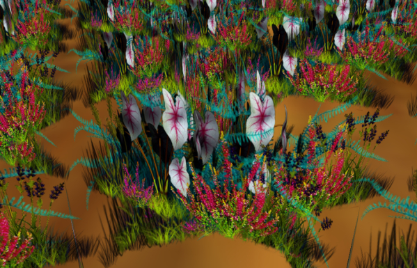 Caladium Florida Sweetheart Mixture Flowers