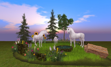 *DE* MY SWEET HORSE FAMILY wh *.* BOX