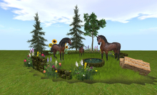 *DE* MY SWEET HORSE FAMILY *.* BOX