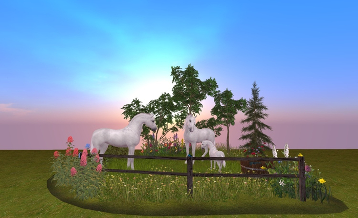 *DE*  MY SWEET FAMILY OF HORSES wh <3 BOX