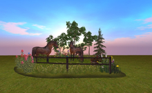 *DE*  MY SWEET FAMILY OF HORSES <3 BOX