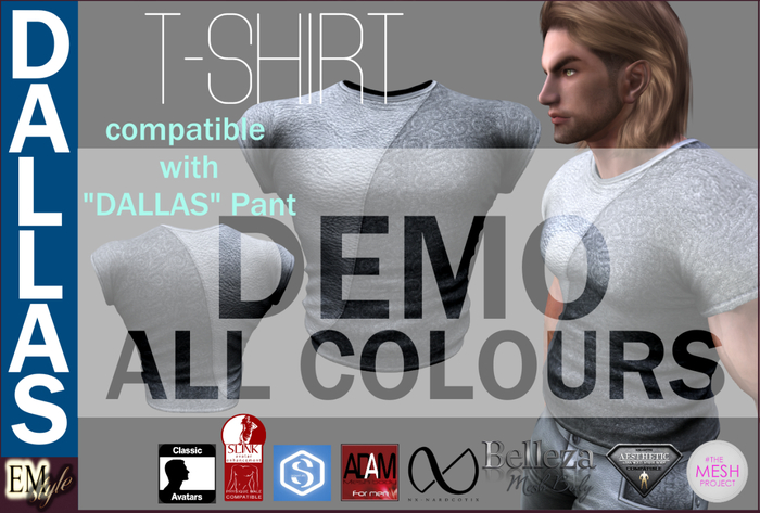 EMS - DALLAS T-SHIRT -ALL COLOURS- DEMO