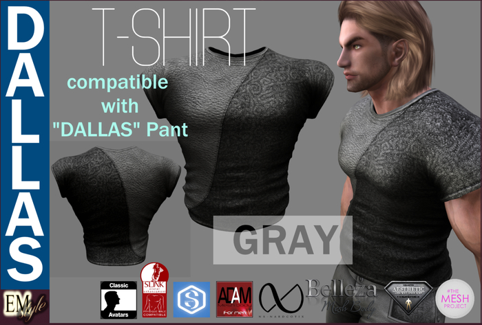 EMS - DALLAS T-SHIRT -GRAY