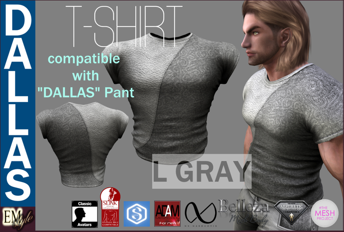 EMS - DALLAS T-SHIRT -L GRAY