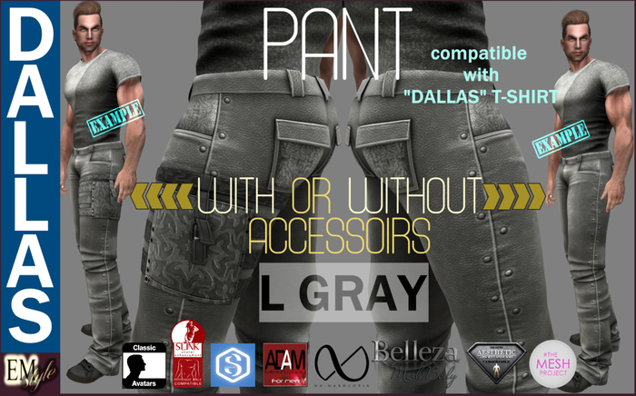 EMS - DALLAS PANT - L GRAY - PACK