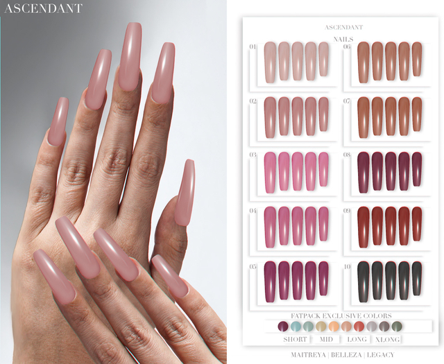 Ascendant - Polished Square Nails Fatpack