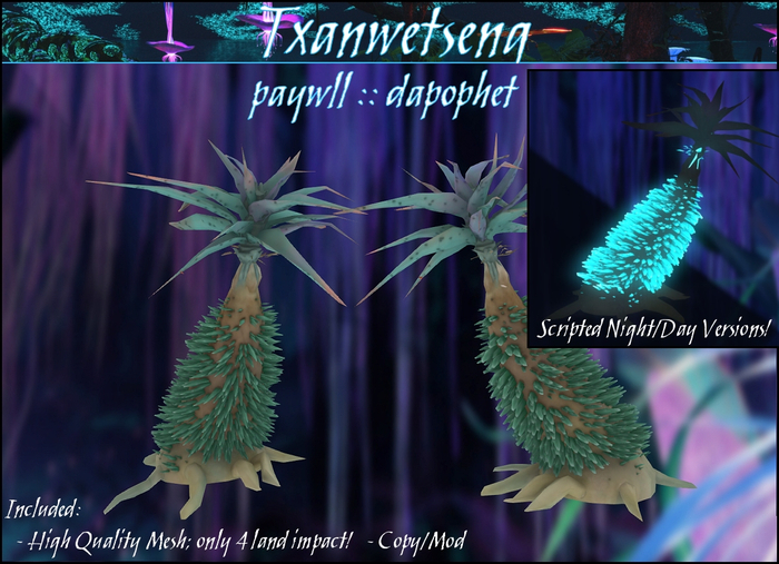 Txanwetseng :: Dapophet