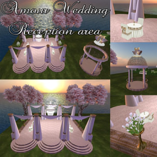 -70% Hot Price ! AMOUR RECEPTION with animations poses and decorations 