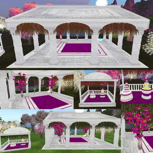 # Roman Purple Reception