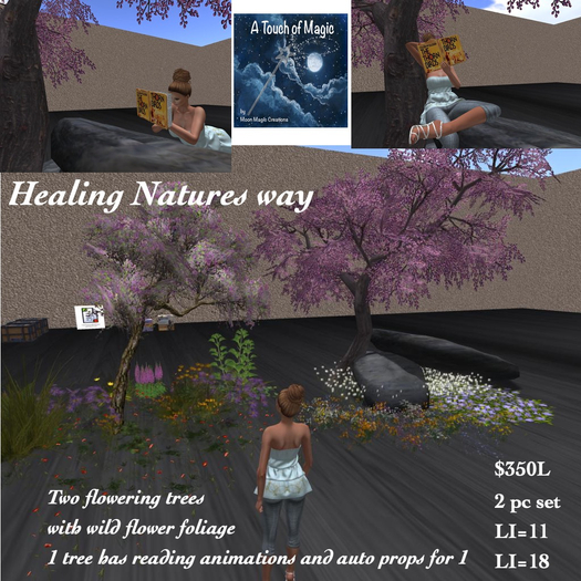 Healing Natures Way, Spring /summer trees-box
