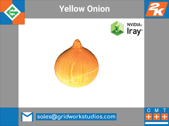 MESH: Onion