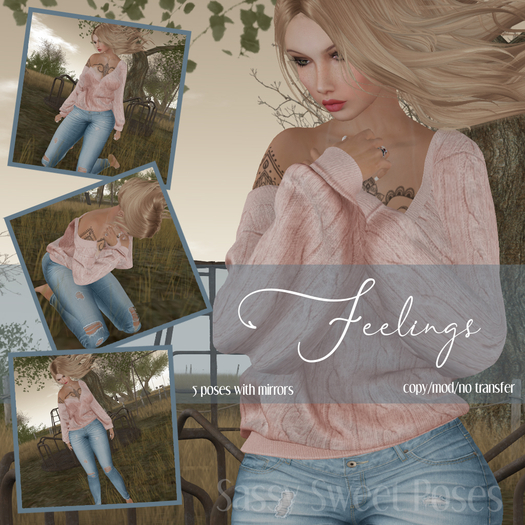 SSP - Feelings