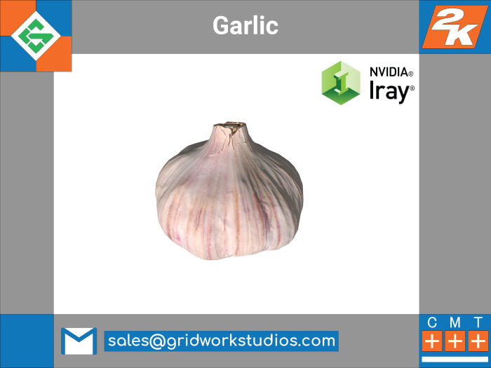 MESH: Garlic