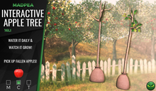 MadPea Interactive Apple Tree