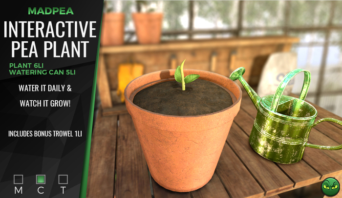 MadPea Interactive Pea Plant [Add Me!] Boxed