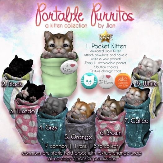 JIAN Portable Purritos 6. Brown Purrito BOX