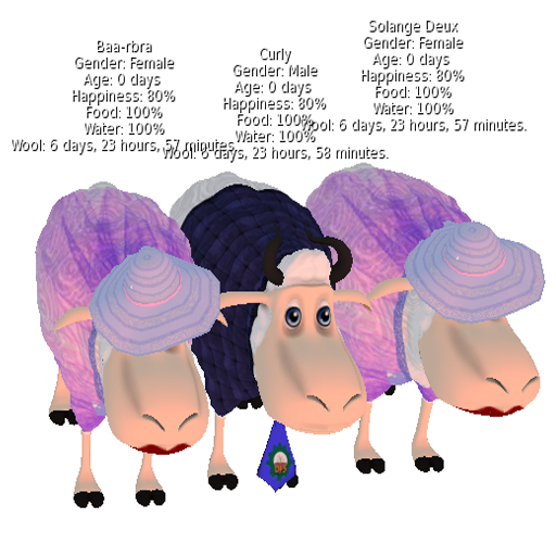 DFS Sheep - Male& 2 x DFS Sheep - Female (Fathers Day 2020)