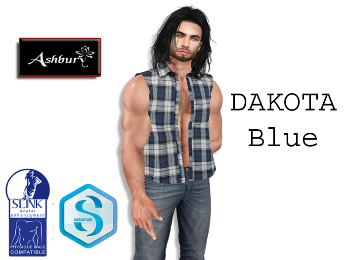 [ASHBURY]  DAKOTA SLEEVELESS SHIRT-PLAID BLUE