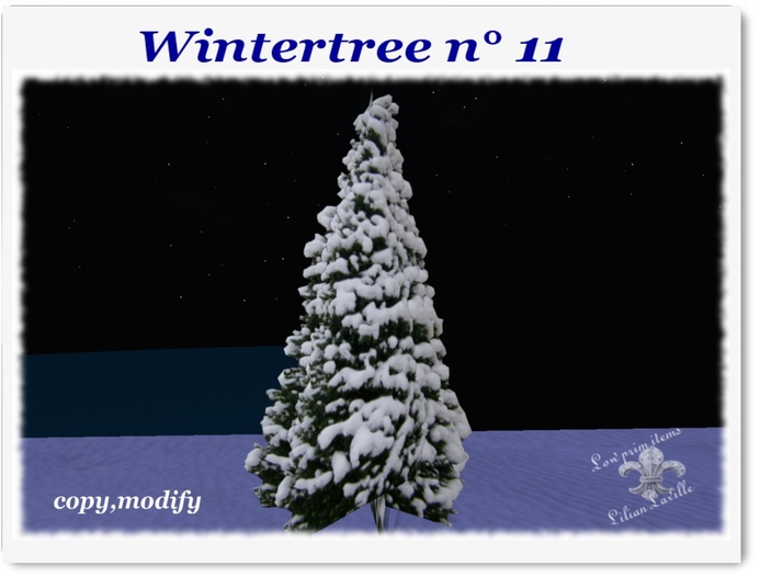 Winter tree with snow nr 11-CM