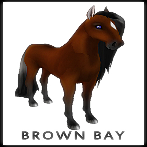 Amaretto Breedable Bundle - Female Brown Bay