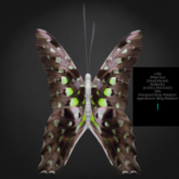 {Papillon} Ma/Sma/Vib/Fuu/Butterfly/Energized/Agamemnon Cocoon