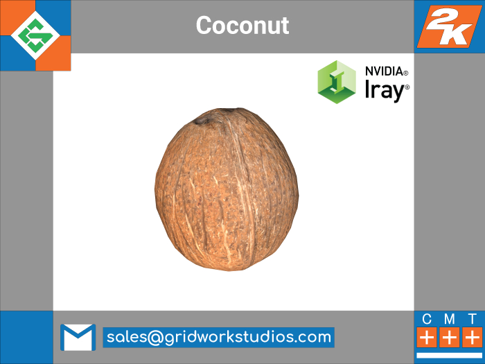 [ G.W.S. ] MESH: Coconut