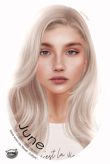 DeeTaleZ *DEMO* for CATWA HEADS - June - ALL SKINTONES