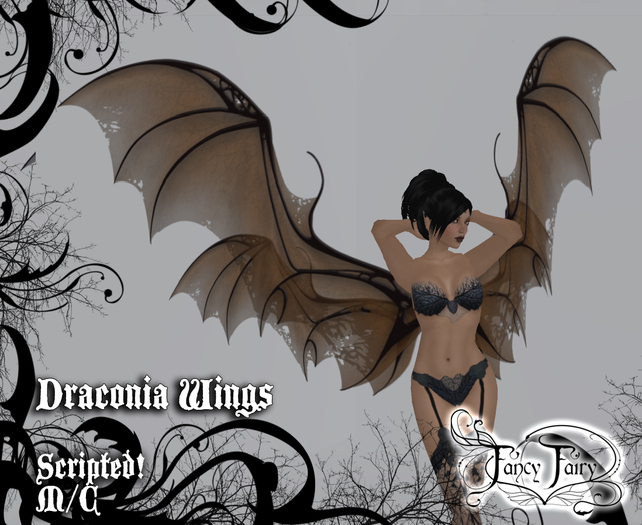 Draconia Scripted Wings in Brown