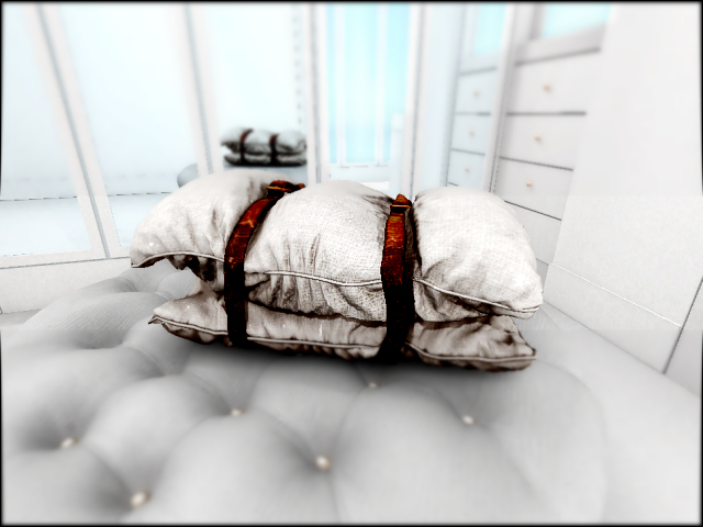 dust bunny . wanderlust . belted pillows