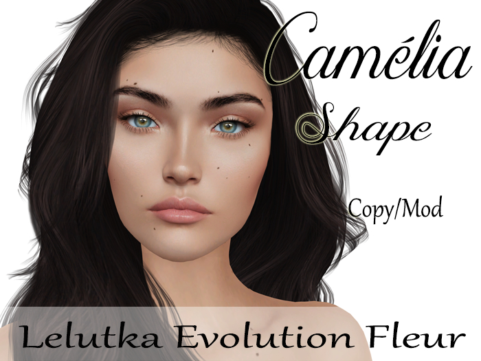 Camelia Shape "Lelutka Evolution Fleur Head"