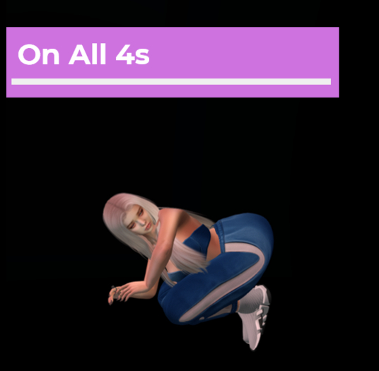 [Pose Ball] On All 4s