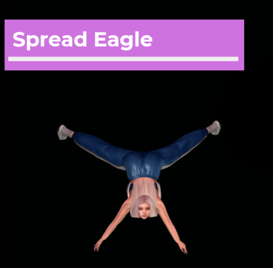 [Pose Ball] Spread Eagle