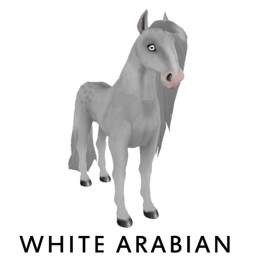 Second Life Marketplace - Female, White Arabian, Rune Indicolite ...