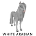 Second Life Marketplace - Female, White Arabian, Rune Indicolite ...