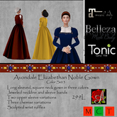 Avondale Elizabethan Noble Gown Set 3