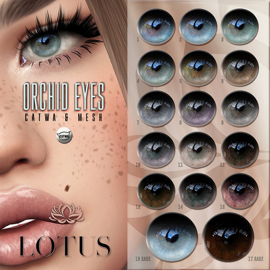 LOTUS. Orchid Eyes 07 BOX