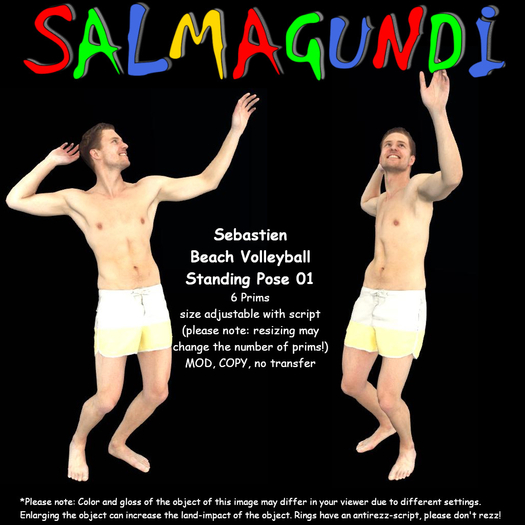 Sebastien - Beach Volleyball - Standing Pose 01