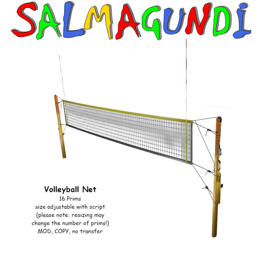 Volleyball Net