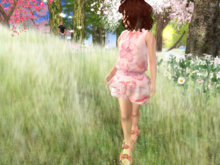 Redfeather Rags Garden Pink Skirt & Top