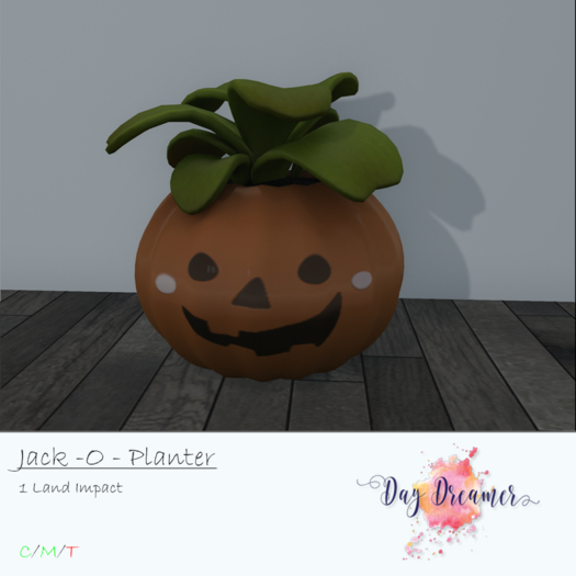 Day Dreamer - Jack - O - Planter (boxed)