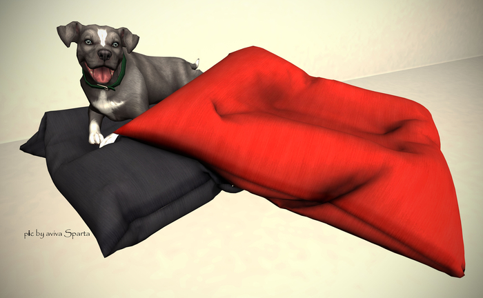 JIAN Playful Pibbles BOX 1. Pillow Pibble RARE